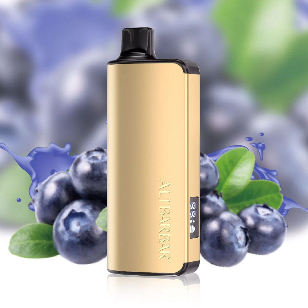 Blueberry Mint - Alibarbar Ingot disposable vape