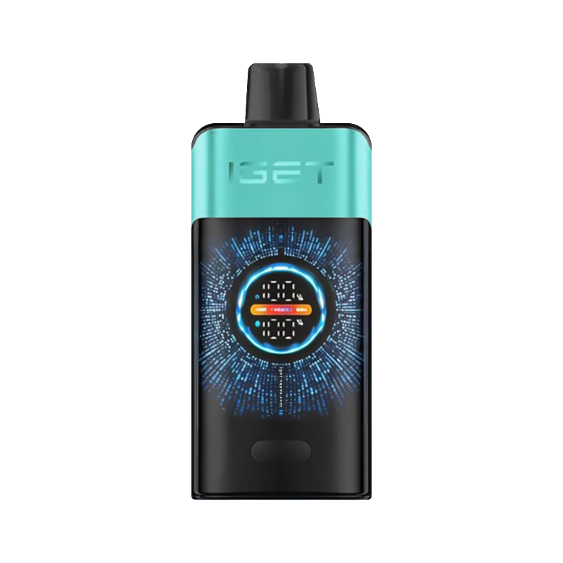 Mountain Spring Mint Ice - IGET One disposable vape