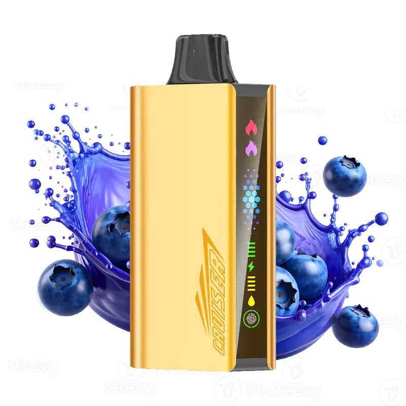 Blueberry Blast - JNR Cruiser disposable vape
